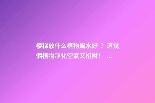 樓梯放什么植物風水好？這幾個植物凈化空氣又招財?。?>
							</a>
						</div>
						<div   id=